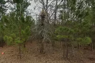 2762 Myrtle Dr, Orangeburg, SC 29115 - Photo 1