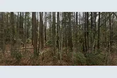 2797 Hilda Drive, Orangeburg, SC 29115 - Photo 1