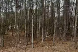 968 Fawn Ln, Orangeburg, SC 29115 - Photo 1