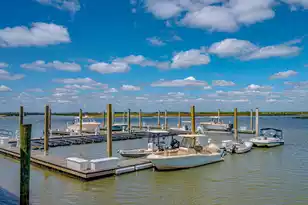 101 Palm Blvd, Isle Of Palms, SC 29451 - Photo 4