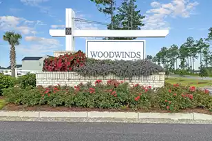 247 Lucca Dr, Summerville, SC 29486 - Photo 50