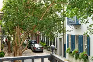2 Bedons Alley, Charleston, SC 29401 - Photo 36