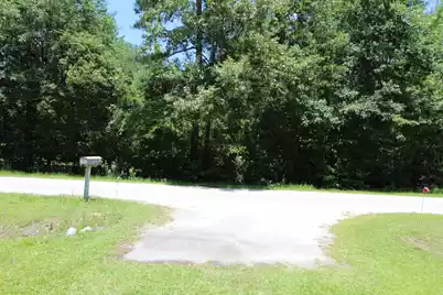 131 Gloverville Lane, Round O, SC 29474 - Photo 2