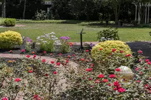 208 Sumter Ave, Summerville, SC 29483 - Photo 112