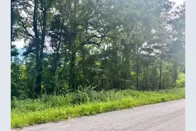 8946 Anderson Road, Adams Run, SC 29426 - Photo 2