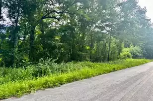 8946 Anderson Rd, Adams Run, SC 29426 - Photo 1