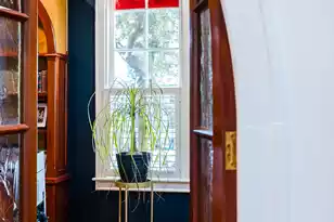 41 Pitt St, Charleston, SC 29401 - Photo 30