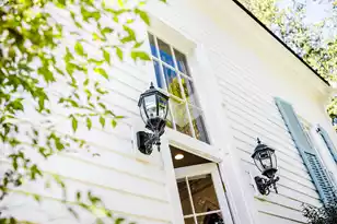 41 Pitt St, Charleston, SC 29401 - Photo 76