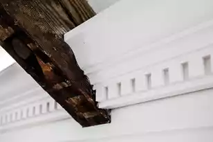 41 Pitt St, Charleston, SC 29401 - Photo 58