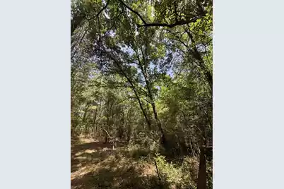 0 Cottonwood Lane, Walterboro, SC 29488 - Photo 2