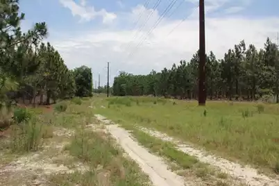 00 Stacey Bridge Rd, Orangeburg, SC 29118 - Photo 4