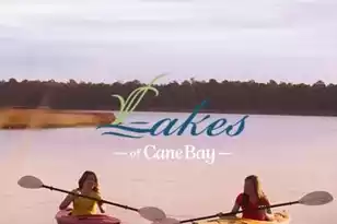 725 Maynard Ln, Summerville, SC 29486 - Photo 48