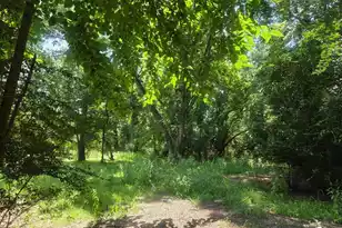 6385 SC-162, Hollywood, SC 29449 - Photo 6