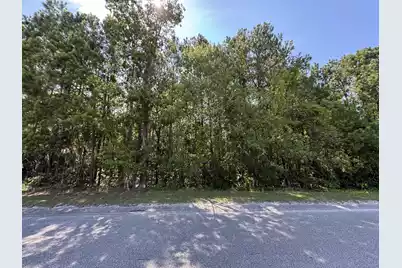 Tract 2 Tabernacle Road, Eutawville, SC 29048 - Photo 4