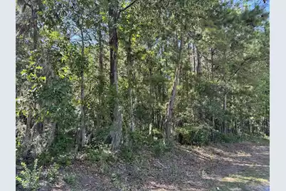 Tract 2 Tabernacle Road, Eutawville, SC 29048 - Photo 2