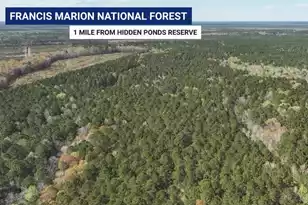 1183 Reserve Ln, Awendaw, SC 29429 - Photo 42