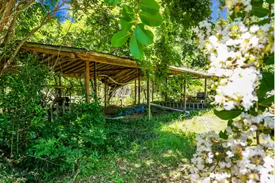 4512 Carolina Highway, Denmark, SC 29042 - Photo 46