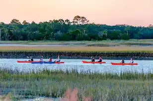 5558 Green Dolphin Way, Kiawah Island, SC 29455 - Photo 24