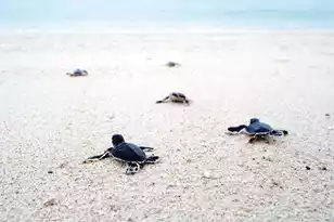 341 Seabrook Island Rd, Seabrook Island, SC 29455 - Photo 106