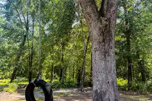 153 Willow Brook Way, Cordesville, SC 29434 - Photo 94