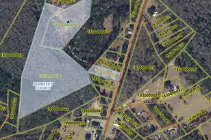 153 Willow Brook Way, Cordesville, SC 29434 - Photo 4