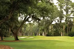 1334 Pelican Watch Villas, Seabrook Island, SC 29455 - Photo 74