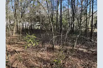 379 Chestnut Road, Walterboro, SC 29488 - Photo 32