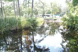 538 Castlebury Rd, Walterboro, SC 29488 - Photo 42