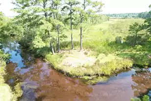 538 Castlebury Rd, Walterboro, SC 29488 - Photo 40