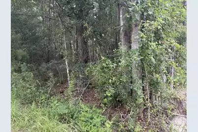 0 Walker Road, Ridgeville, SC 29472 - Photo 1