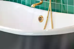 42 Battery Street S, Charleston, SC 29401 - Photo 82