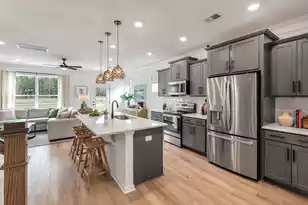 438 Duskywing Dr, Goose Creek, SC 29445 - Photo 4