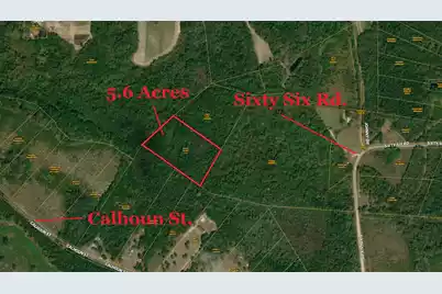 0 Calhoun Street, Branchville, SC 29432 - Photo 2