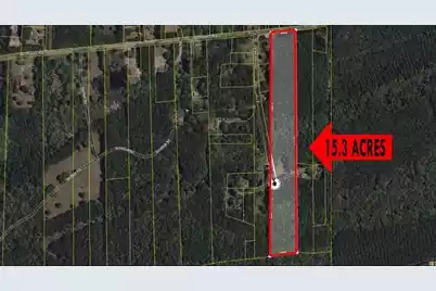 0 Willtown Road, Adams Run, SC 29426 - Photo 2