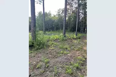 3171 Queens Way, Orangeburg, SC 29118 - Photo 2