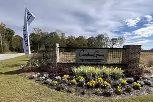 309 Salvia St, Moncks Corner, SC 29461 - Photo 2