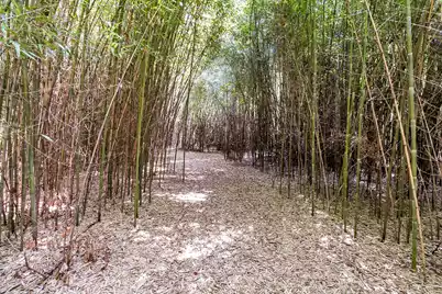 500 Parler Avenue N, Saint George, SC 29477 - Photo 22