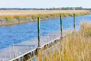 1515 John Fenwick Ln, Johns Island, SC 29455 - Photo 10