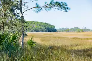 1515 John Fenwick Ln, Johns Island, SC 29455 - Photo 8