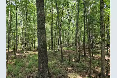 Lot 2A M W Rickenbaker Road, Summerton, SC 29148 - Photo 8