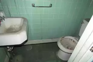 249 Smoak St, Bamberg, SC 29003 - Photo 12