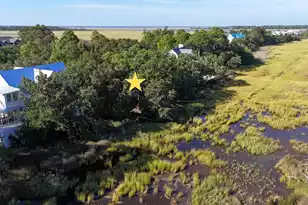 3 Seagrass Ln, Isle Of Palms, SC 29451 - Photo 1