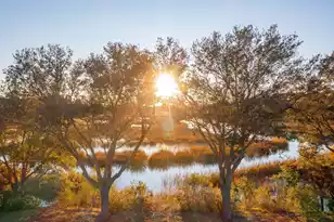 826 Curved Crk Ct, Charleston, SC 29412 - Photo 8
