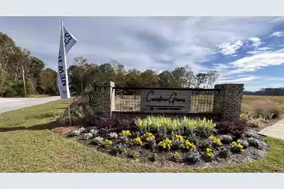 325 Mistflower Lane, Moncks Corner, SC 29461 - Photo 2