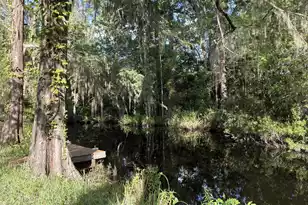 3323 Prices Bridge Ln, Walterboro, SC 29488 - Photo 2