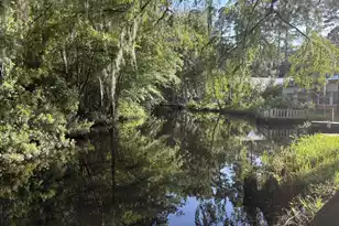 3323 Prices Bridge Ln, Walterboro, SC 29488 - Photo 36