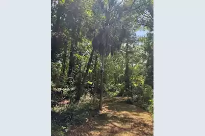 00 Rutledge Drive, Eutawville, SC 29048 - Photo 10