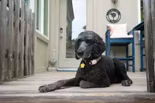 1413 Dune Loft Villas, Seabrook Island, SC 29455 - Photo 38