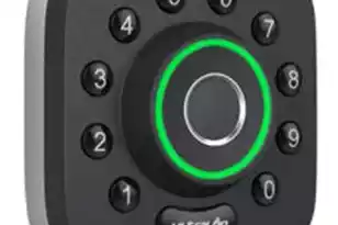 1438 Goblet Ave, Mount Pleasant, SC 29464 - Photo 30