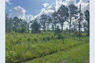 01 Utsey Hill Road, Saint George, SC 29477 - Photo 10